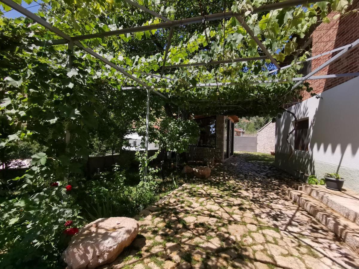 Vila Rira - Rrajce, Shebenik Perrenjas Экстерьер фото