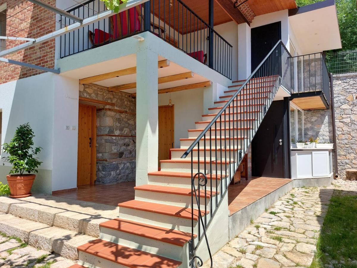 Vila Rira - Rrajce, Shebenik Perrenjas Экстерьер фото